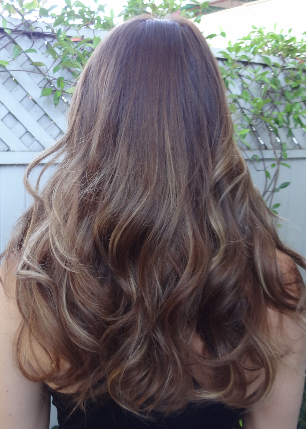 Dark Hair With Different Color Highlights